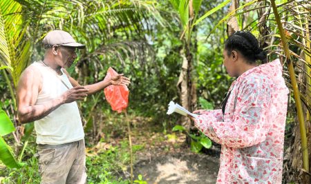 Baseline Insights for Community-Based Coffee Development in Mekari village