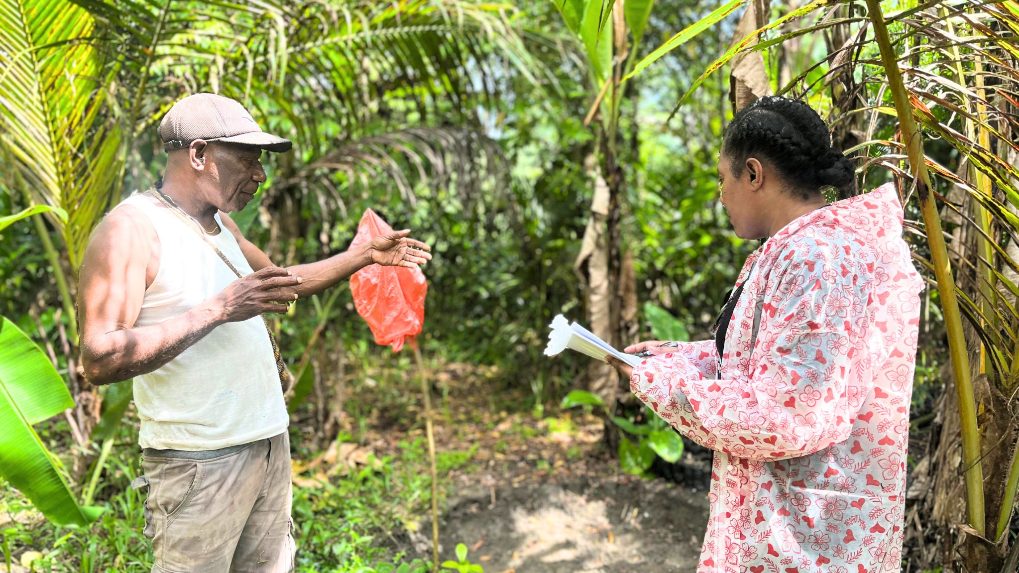 Baseline Insights for Community-Based Coffee Development in Mekari village